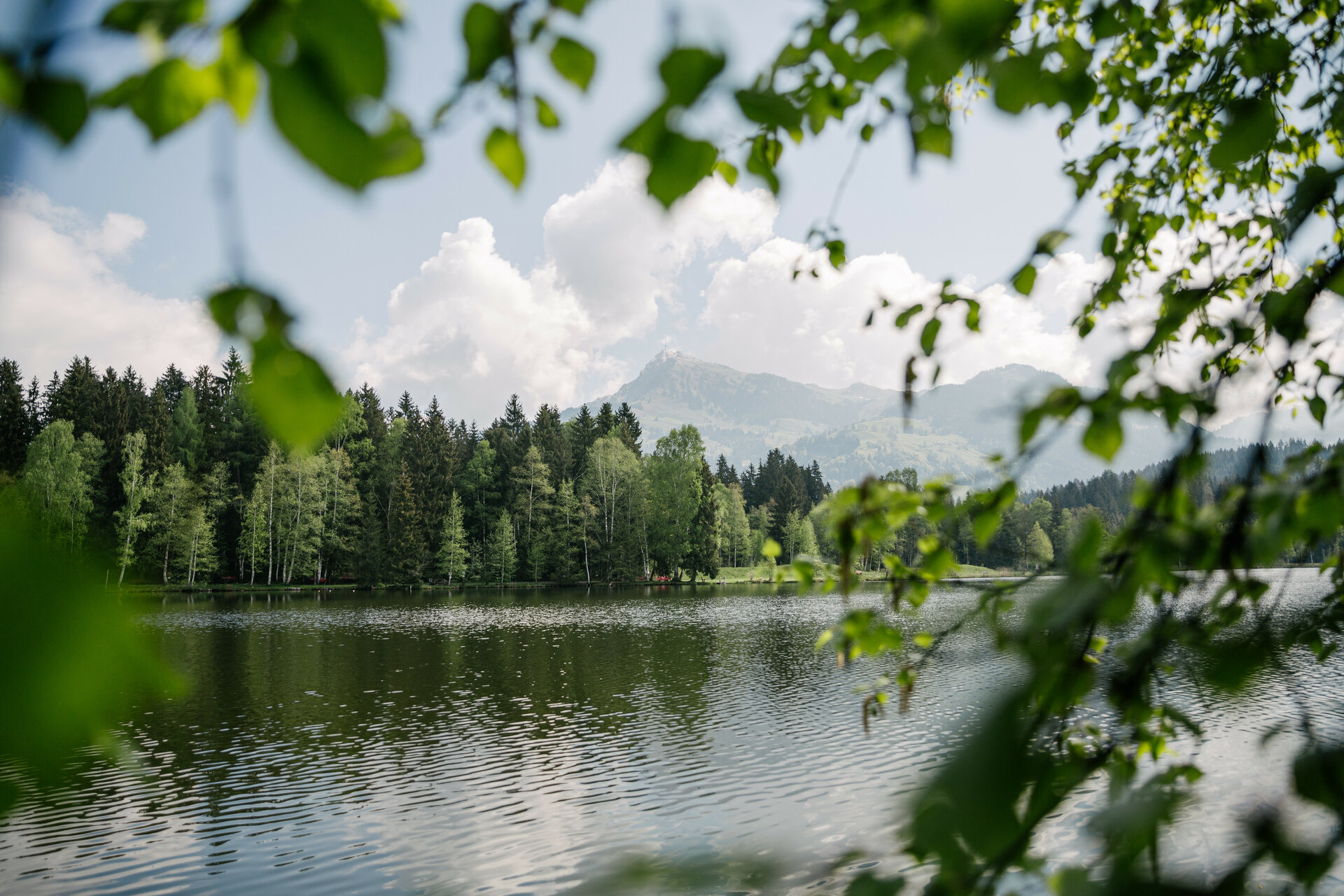 Schwarzsee in Kitzbühel spiegelt Bäume und Himmel, umgeben von Hügeln und Bergen.