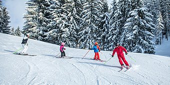 Ski schools