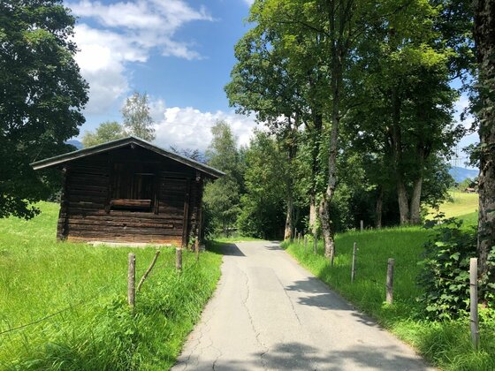 Bauernhaus-Museumsweg mit Holzhütte Asphaltierter Weg führt an einer dunklen Holzhütte und grünen Bäumen vorbei.