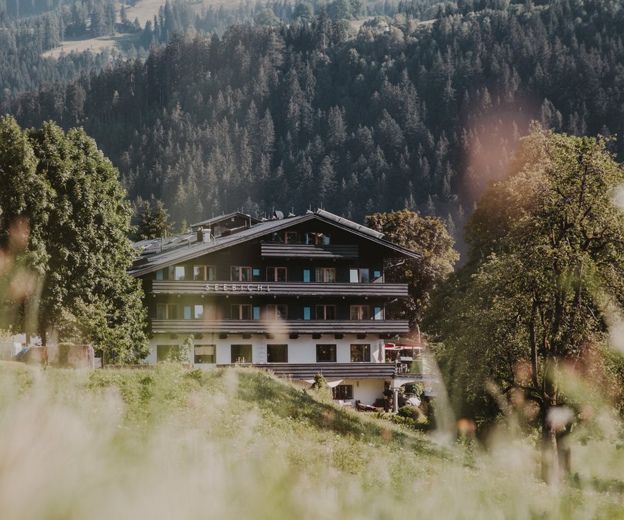 Seebichl in Kitzbühel