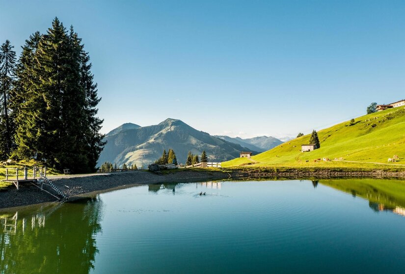 Filzalmsee
