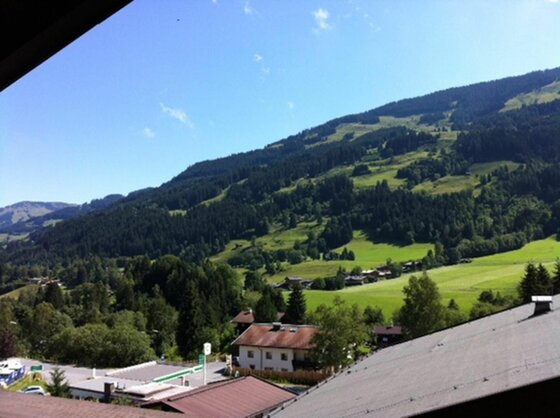 Sommerblick vom Balkon Blick von einem Balkon auf ein bewaldetes Bergmassiv mit Wiesen und Häusern im Tal bei blauem Himmel.