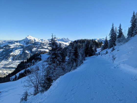 Präparierter Winterwanderweg am Berghang mit Nadelbäumen und Blick auf verschneite Alpengipfel unter blauem Himmel.