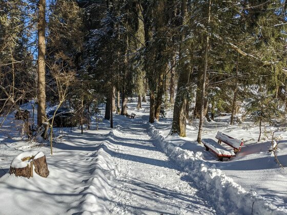 Winterwanderweg im Bichlach Ein geräumter Winterwanderweg führt durch einen verschneiten Nadelwald mit einer Holzbank am Wegrand.