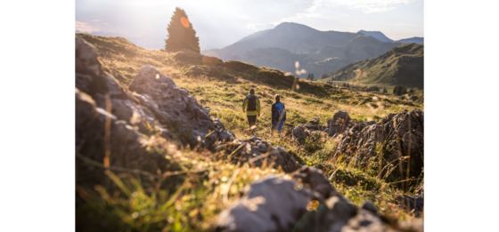 Zwei Wanderer auf einem grasbewachsenen Bergrücken bei Sonnenuntergang mit Blick auf die Alpen.