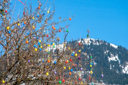 Easter in Kitzbühel: Colorful trees and snowy mountain peaks © alpinguin