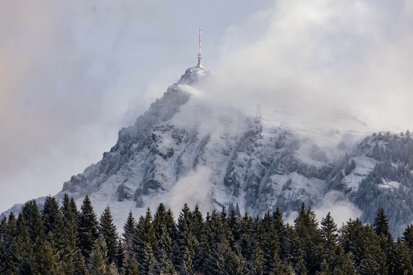 Schneebedeckter Gipfel am Kitzbüheler Horn, umgeben von Nadelbäumen.