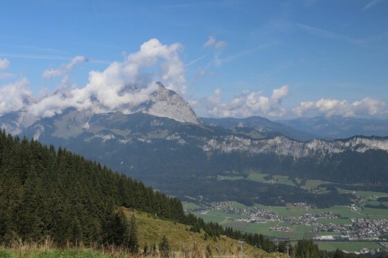 Aussicht vom Harschbichl Blick von einem bewaldeten Hang auf ein weites Tal und ein markantes Bergmassiv unter blauem Himmel.