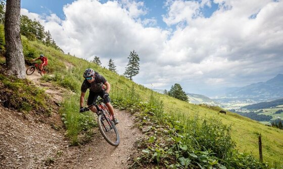 Mountainbiken auf dem Lisi Osl Trail Zwei Mountainbiker fahren auf einem schmalen Erdpfad an einem Grashang bergab.
