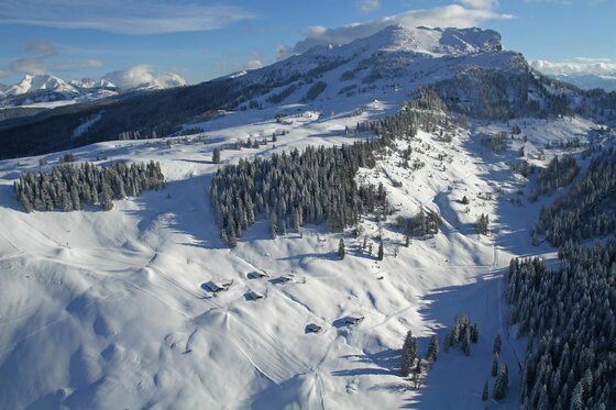 Eine malerische Winterlandschaft mit schneebedeckten Hügeln und Bäumen. Im Hintergrund ist ein beeindruckender Berg zu sehen.