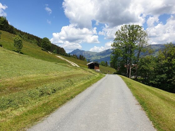 Wanderweg Wagstätt-Schering-Jagawurz Asphaltierter Wanderweg führt durch grüne Almwiesen an einer Holzhütte vorbei in Richtung Berge.