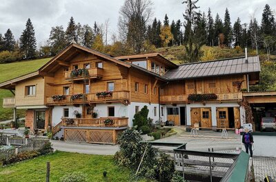 Ein traditionelles Holzhaus inmitten von Bäumen und Wiesen. Die Umgebung ist ruhig und einladend.