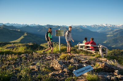 Alpenblumengarten Eine Gruppe von Wanderern genießt die Aussicht auf die Berge. Im Hintergrund sind schneebedeckte Gipfel und ein klarer Himmel zu sehen.