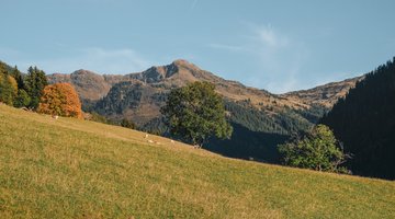 Mountain panorama