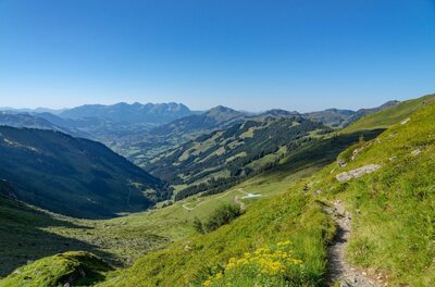 Wanderweg am Wieseneggbach Schmaler Wanderpfad an einem grünen Berghang mit Blick in ein weites Tal und auf ferne Berggipfel.