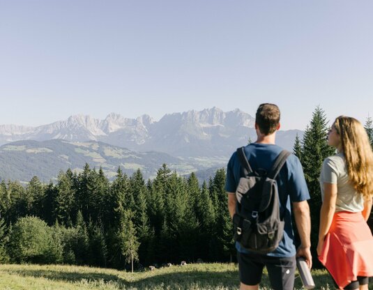 Guided summerwalk