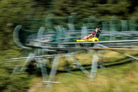 Person in einem gelben Schlitten auf einer Sommerrodelbahn in Fieberbrunn.