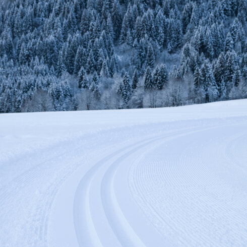 Cross-country skiing in Kitzbühel, freshly groomed trails in a snow-covered landscape dotted with trees.