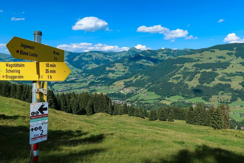 Gelbe Wegweiser auf einer Bergwiese mit Blick auf ein bewaldetes Tal und ferne Berggipfel unter blauem Himmel.