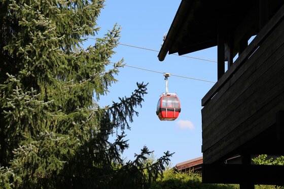 Rote Gondel einer Seilbahn schwebt vor blauem Himmel zwischen Nadelbäumen und einem Holzgebäude.