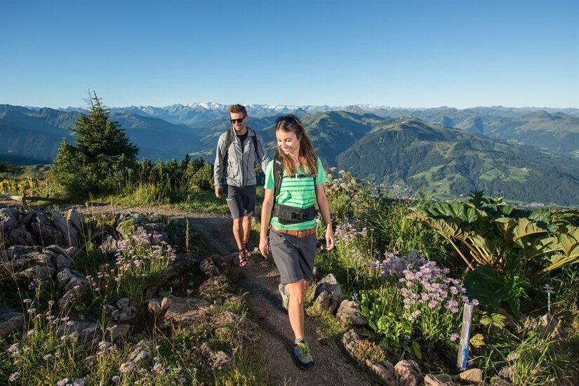 Zwei Personen wandern auf einem schmalen Bergpfad vor einem weiten Alpenpanorama mit schneebedeckten Gipfeln.
