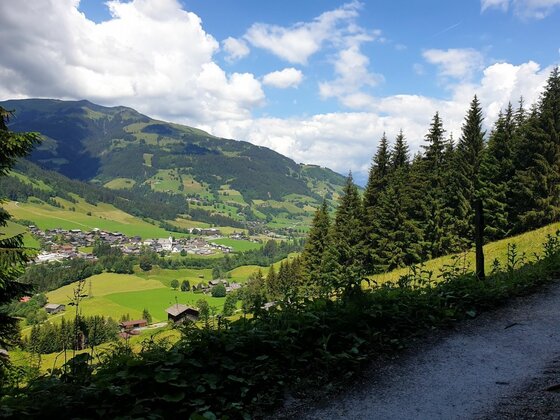 Blick von einem geschotterten Waldweg auf ein grünes Tal mit Dorf und bewaldeten Bergen unter Wolkenhimmel.