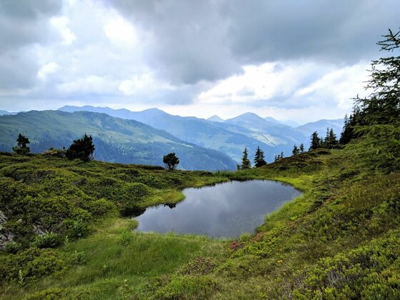 Ein kleiner Bergsee in einer grünen Alpenlandschaft vor bewölktem Himmel und fernen Berggipfeln.
