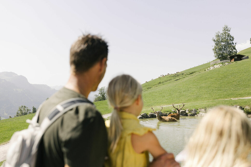 Explore Aurach Wildlife Park with the Family