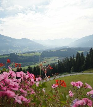 Balkonblick