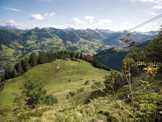 Seilbahn am Hahnenkamm Rote Gondeln einer Seilbahn schweben über grüne Almwiesen vor einem Bergpanorama.