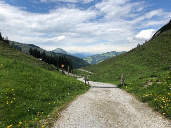 Schotterweg bei der Wiegalm Schotterweg führt durch grüne Almwiesen in einem Bergtal unter bewölktem Himmel.