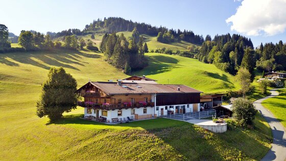 Alpenländischer Bauernhof mit Holzbalkon auf einer grünen Wiese vor bewaldeten Hügeln.