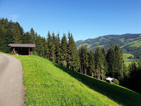Asphaltierter Bergweg neben einer grünen Wiese mit Nadelbäumen und einer Holzhütte vor bewaldeten Bergen.