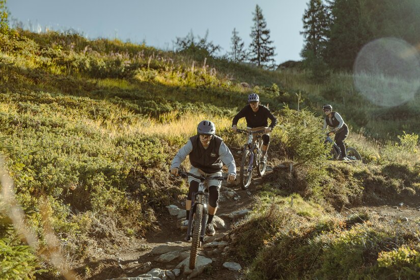 Drei Mountainbiker fahren hintereinander einen schmalen, steinigen Pfad bergab durch eine Wiese.