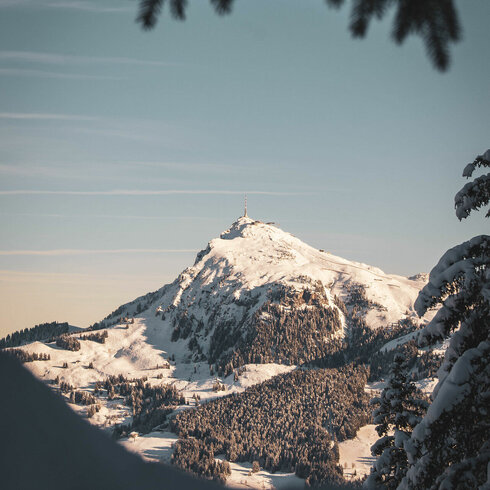 The Kitzbüheler Horn in winter