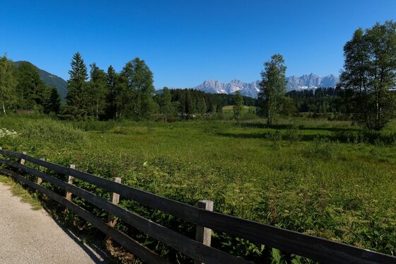 Schwarzsee Runde Wanderweg Blick über eine grüne Wiese mit Holzzaun im Vordergrund auf bewaldete Hügel und ein Bergmassiv unter blauem Himmel.
