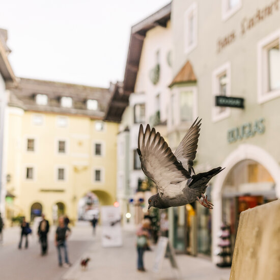 Eine Taube fliegt durch eine belebte Straße in Kitzbühel, umgeben von historischen Gebäuden und Passanten.