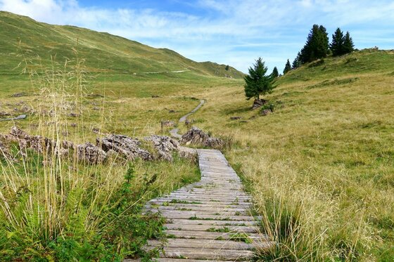 Holzsteg am Hornköpfl Ein schmaler Holzsteg führt durch eine hügelige, grüne Almwiese unter blauem Himmel.