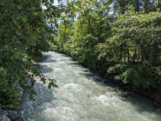 Flusslauf bei Pürsting Ein schnell fließender Gebirgsfluss umgeben von dichten grünen Laubbäumen.