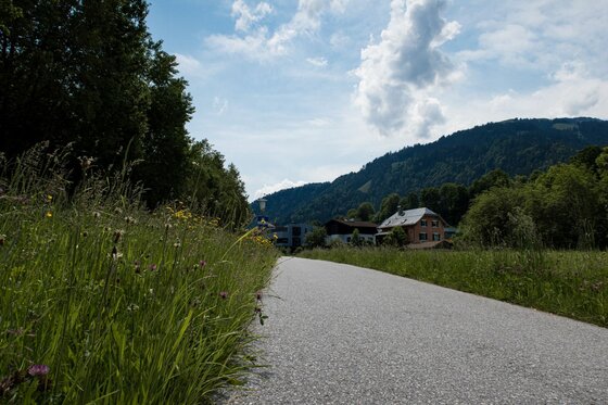 Wanderweg Sonnbergschleife Asphaltierter Wanderweg führt an einer Wiese vorbei auf bewaldete Berge und Häuser zu.