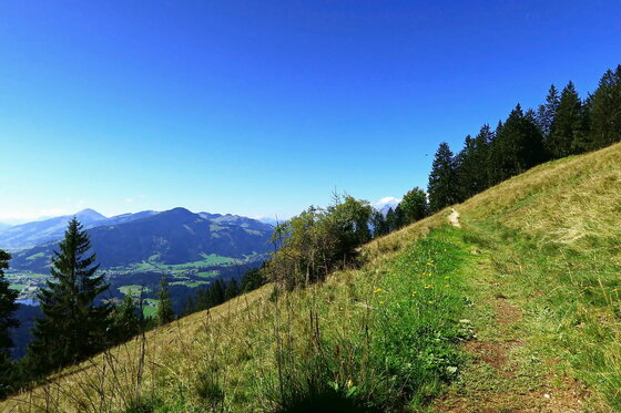 Wanderweg am Grashang Ein schmaler Wanderweg führt entlang eines Grashangs mit Blick auf bewaldete Berge und ein Tal unter blauem Himmel.