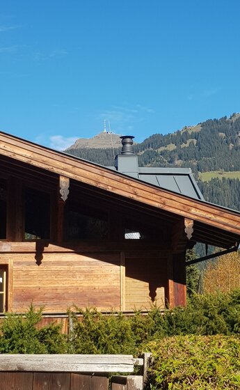 Blick aus dem Garten