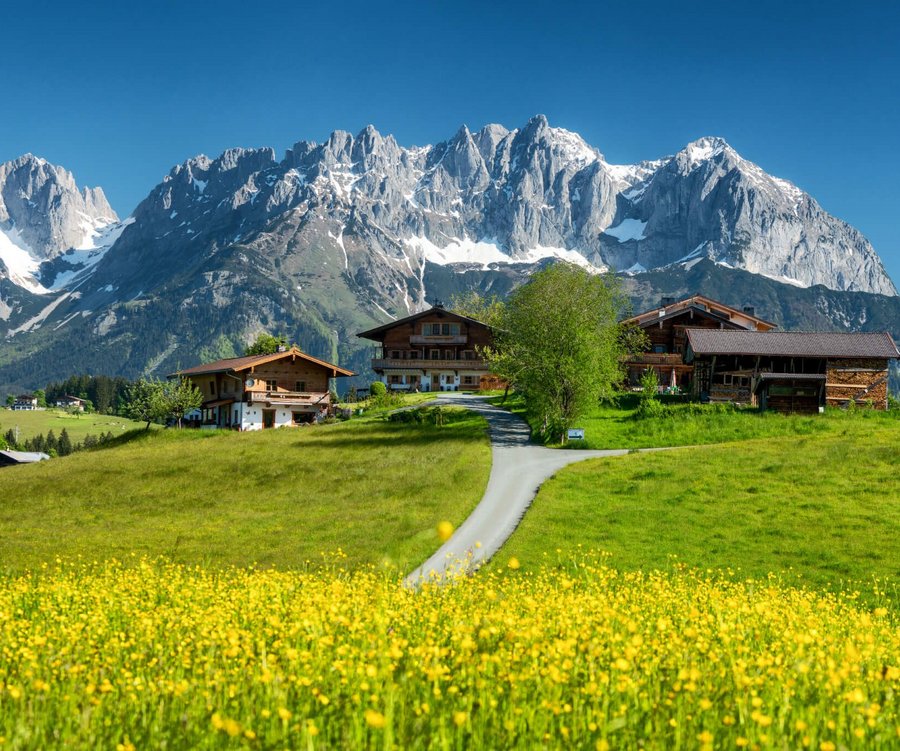 Wiese mit Bergpanorama 