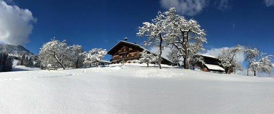 Hörpfinghof im Winter Verschneiter Bauernhof mit Obstbäumen unter blauem Himmel.
