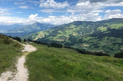 Schmaler Schotterpfad führt über eine grüne Almwiese mit Blick auf bewaldete Berge unter bewölktem Himmel.