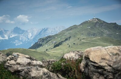 Kitzbüheler Horn mit Kletterpfad Blick auf das Kitzbüheler Horn mit Sendemast, Wanderwegen und Almhütten vor felsiger Gebirgskulisse.