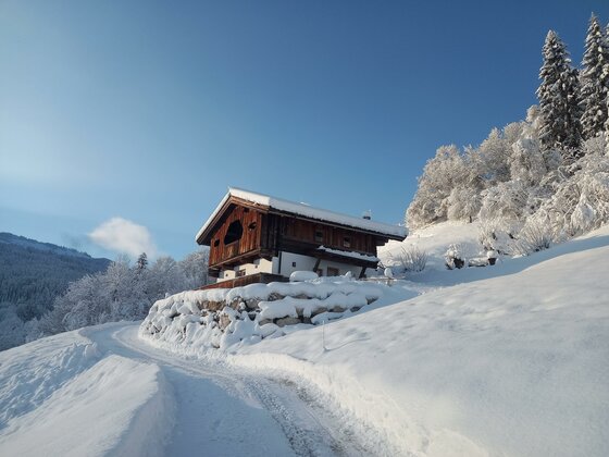 20231203_085645 Ein charmantes Holzhaus im Winter, umgeben von schneebedeckten Bäumen. Der Himmel ist klar und blau, und der Weg führt sanft zum Gebäude.