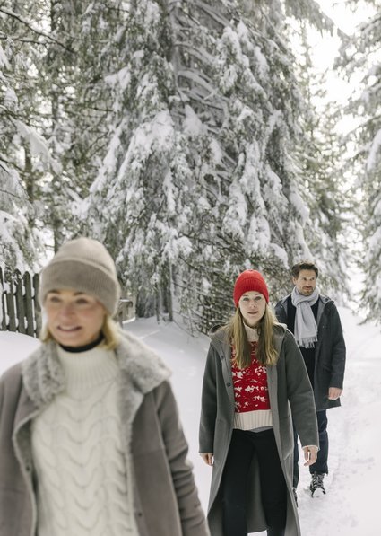 Group winter hiking in the mountains