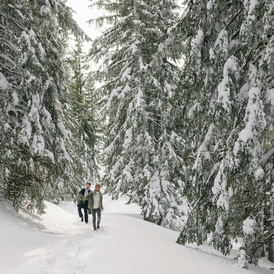 Winter Hiking in Kitzbühel