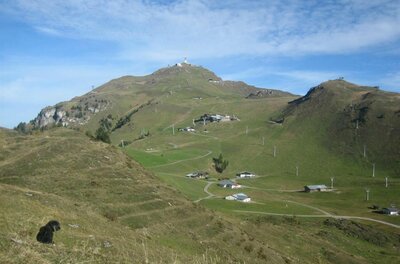 Panoramastraße zum Kitzbüheler Horn Blick auf das Kitzbüheler Horn mit Sendemast, Almhütten, Liftanlagen und Serpentinenweg im Sommer.